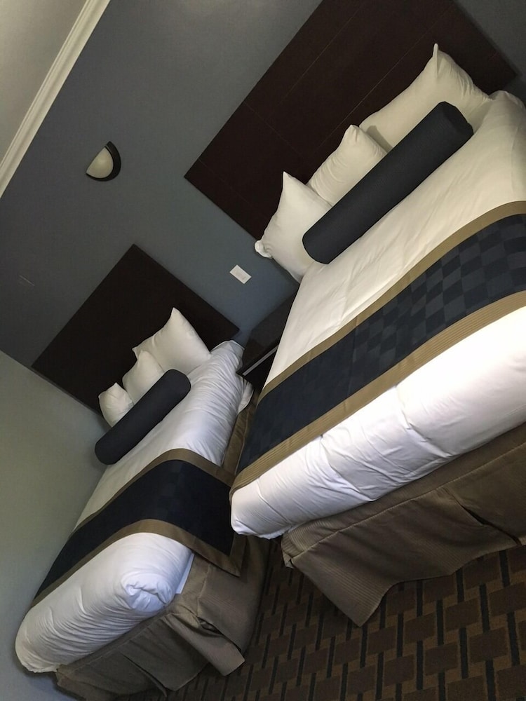 Hollywood Palms Inn and Suites - photo 36
