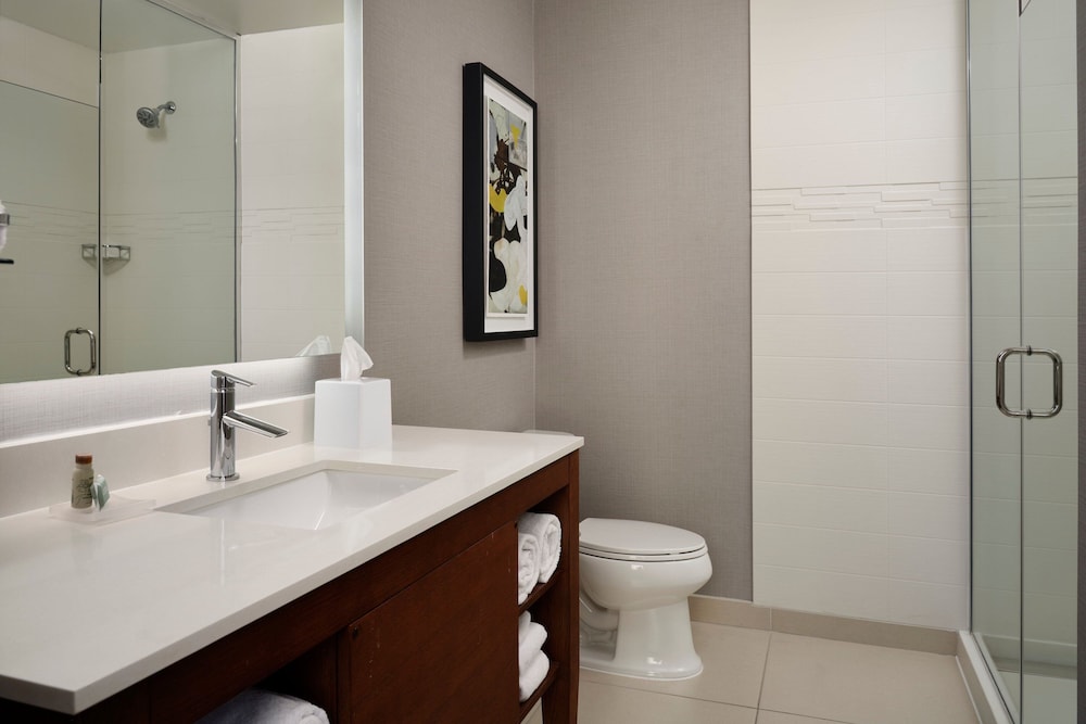 Residence Inn by Marriott Dallas Downtown - photo 19
