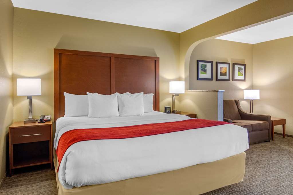 Comfort Inn & Suites LaGrange East - photo 12