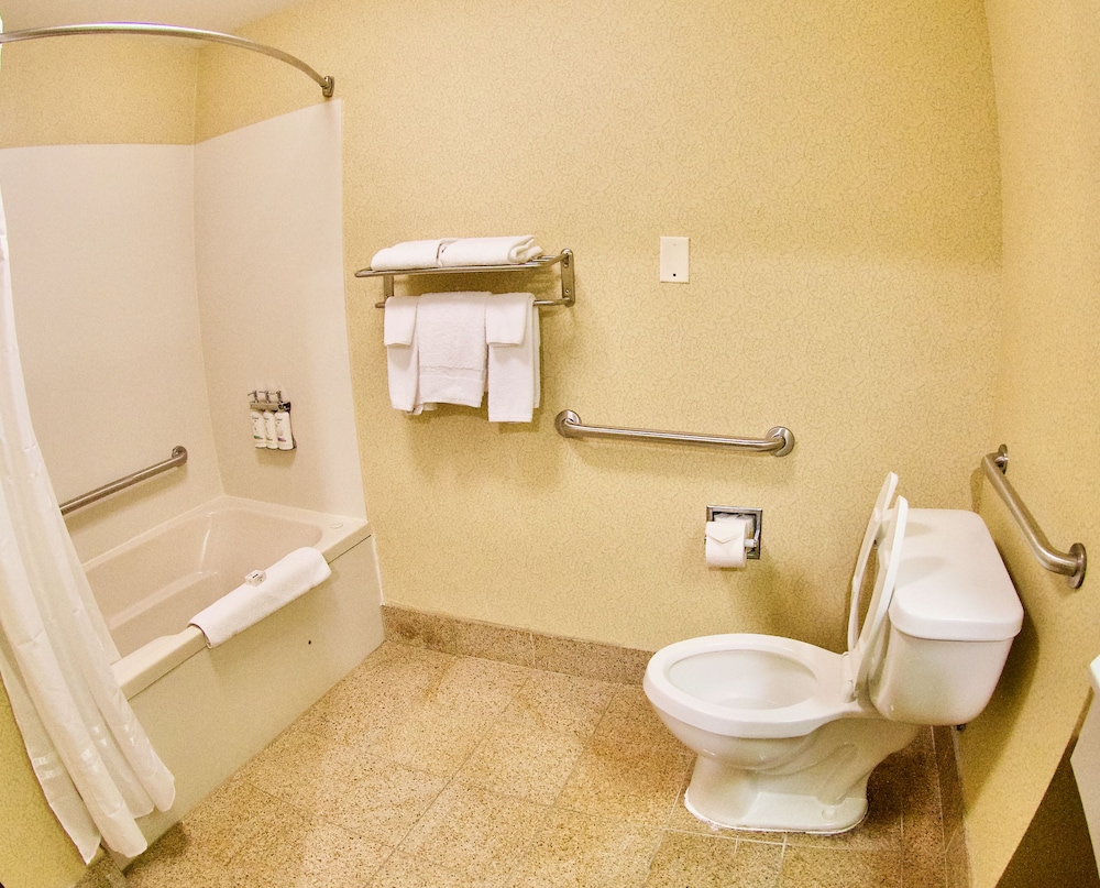 Holiday Inn Express & Suites St. Louis West Fenton by IHG - photo 41