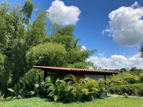 Renewal Retreat The Aviary Unique Sanctuary Of Connection For Solos And Duets — La Tebaida