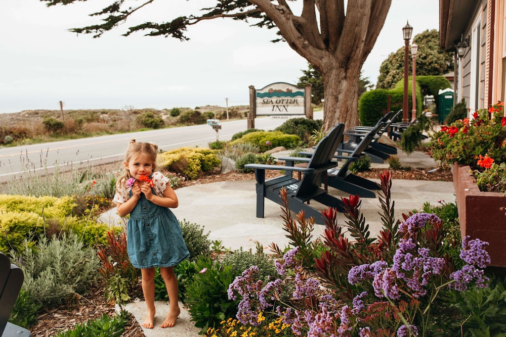 Sea Otter Inn - photo 42