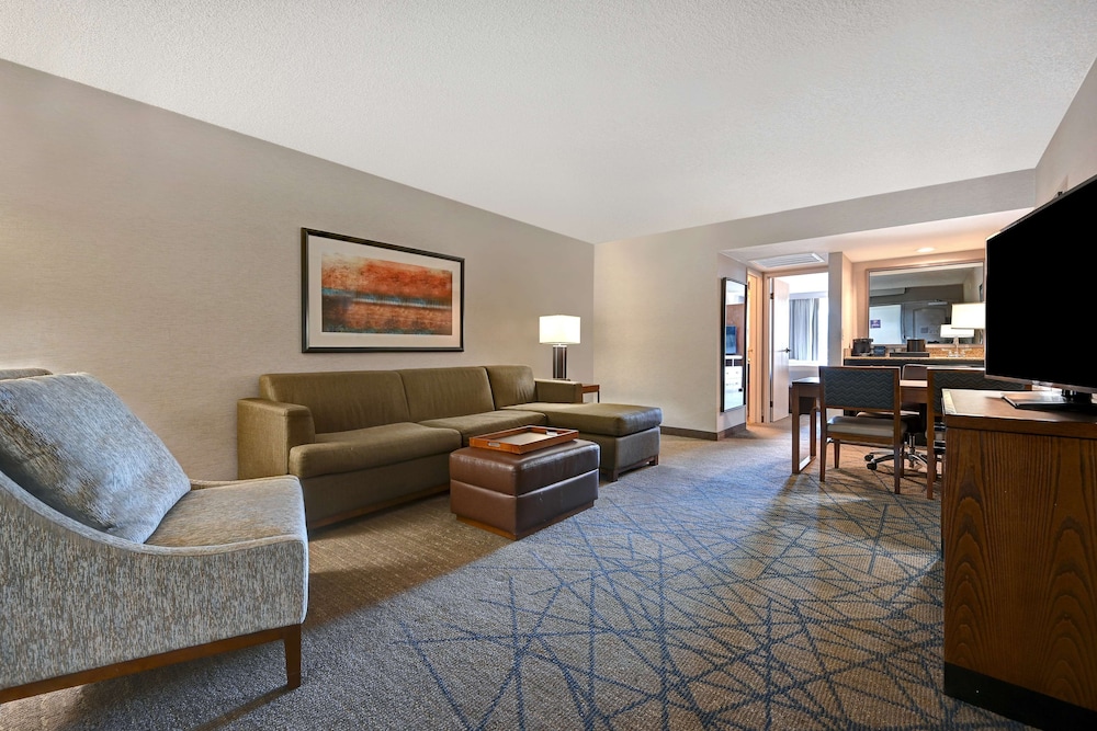 Embassy Suites by Hilton Colorado Springs - photo 13