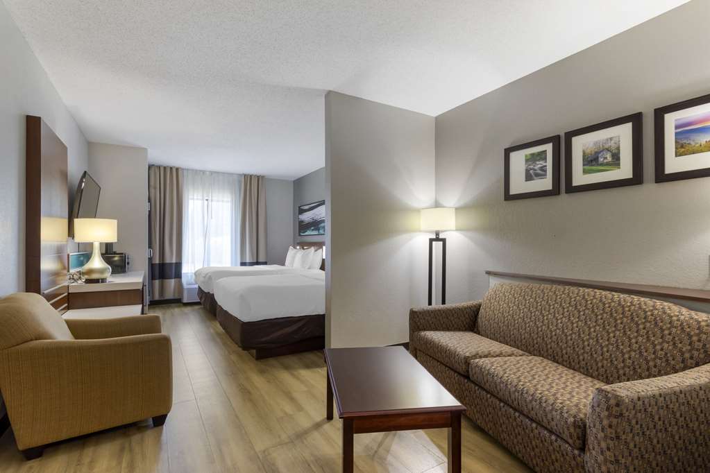 Comfort Suites Kodak Sevierville - photo 16