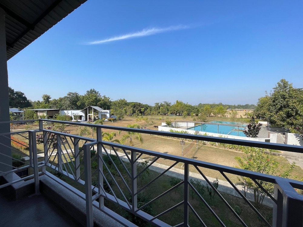 Foxtail Orchid in Bokakhat, India
