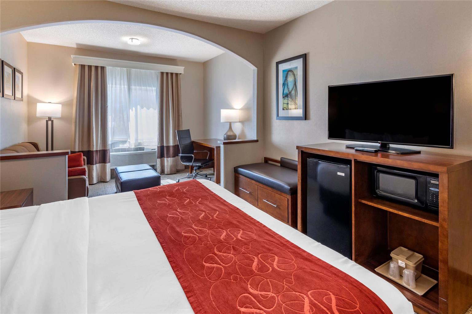 Comfort Suites Near Six Flags Magic Mountain - photo 16