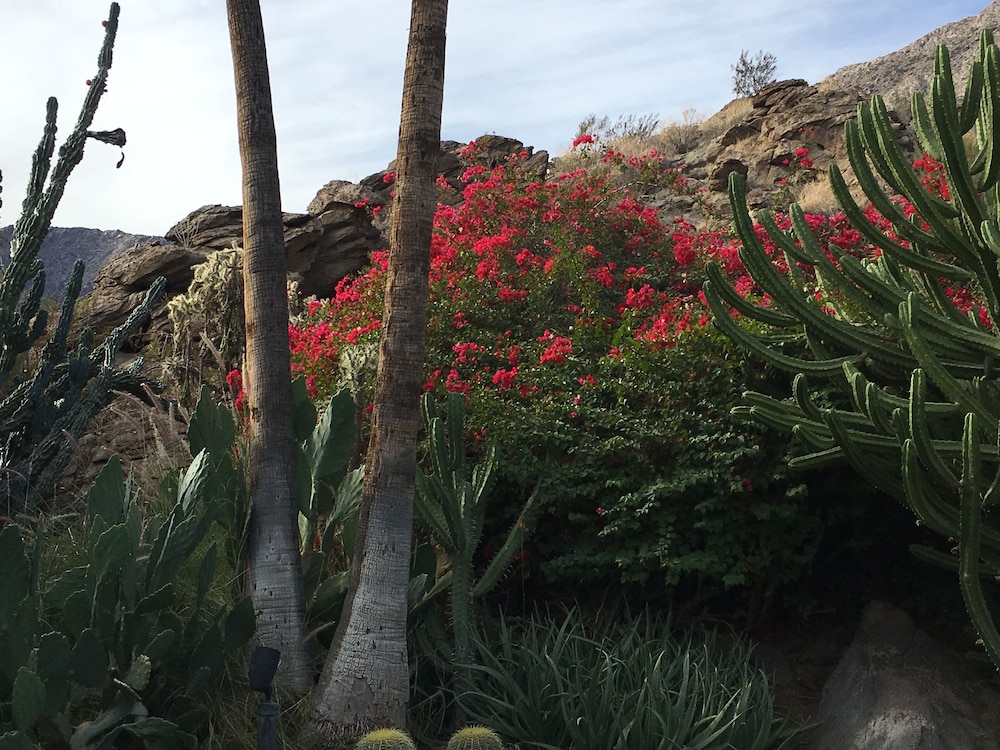 GetAways at Palm Springs Tennis Club - photo 39