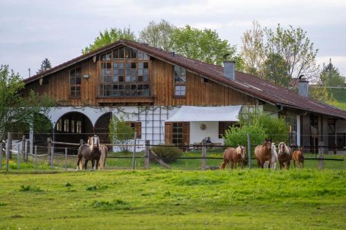 Ferienwohnung mit großem Panoramafenster — 4-Star Luxury Hotel in Teisendorf, Germany