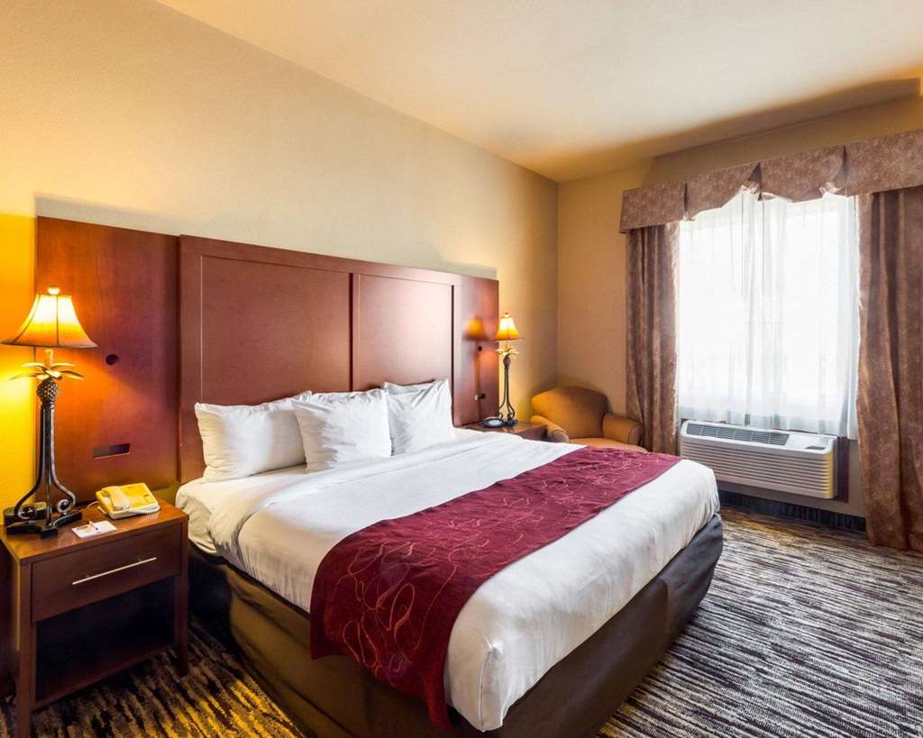 Comfort Suites McAllen Airport and La Plaza Mall - photo 10