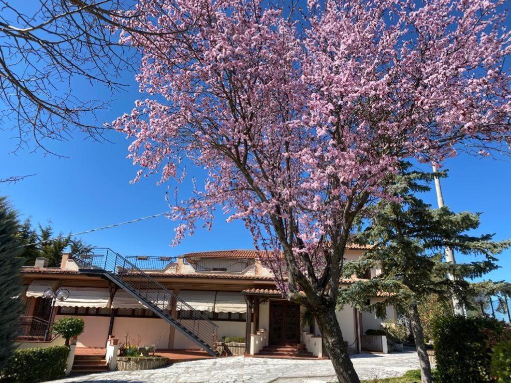 Alloggio Turistico Luigina pet-friendly hotel Morro Reatino