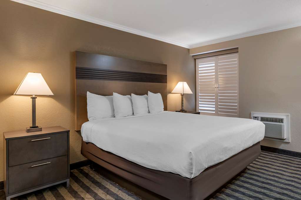 Best Western Silicon Valley Inn - photo 27