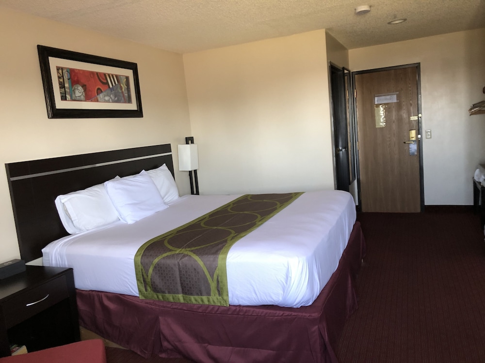 Omaha Sw - photo 24