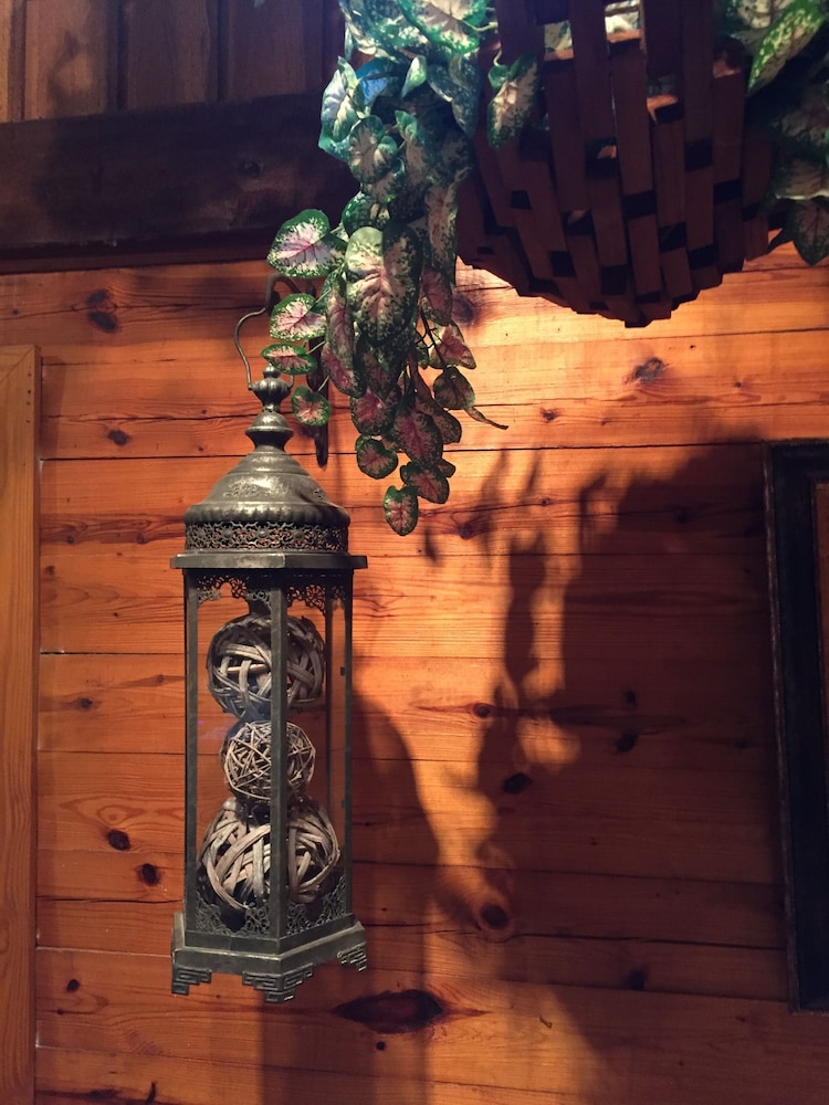 Cherokee mountain log cabin resort - photo 10