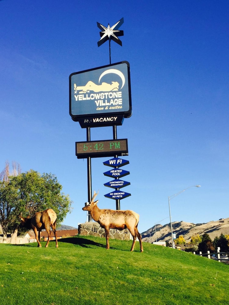 Yellowstone Village Inn and Suites - photo 24