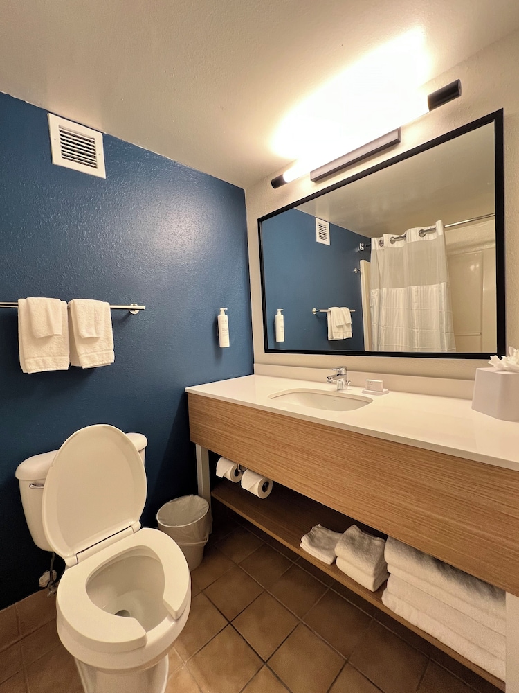 Spark by Hilton Orlando Universal Blvd - photo 15
