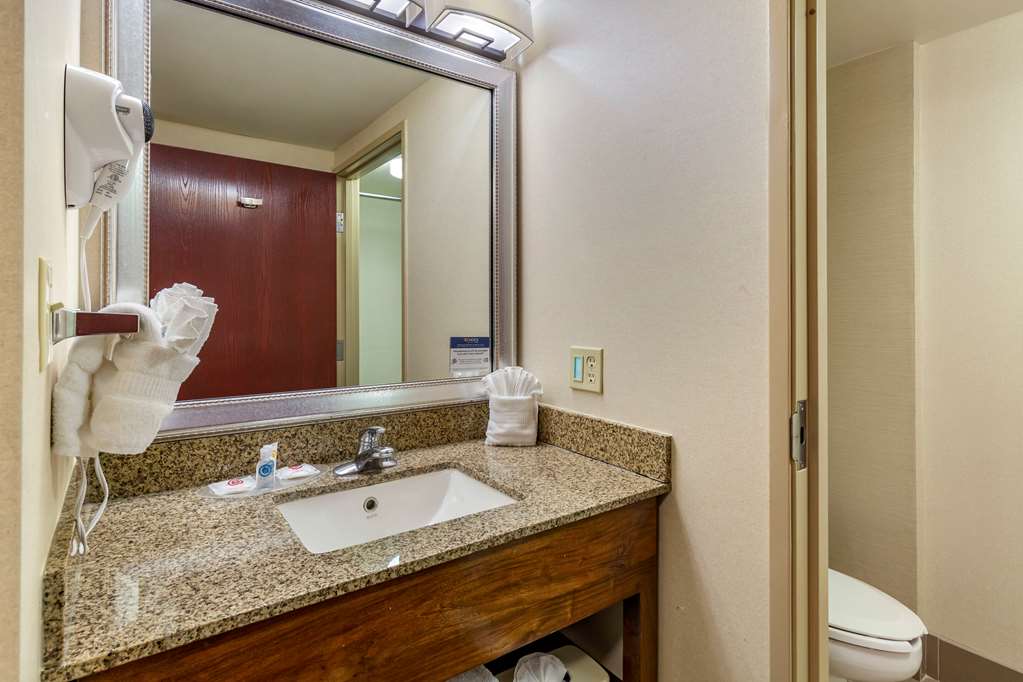 Comfort Suites Manassas Battlefield Park - photo 23