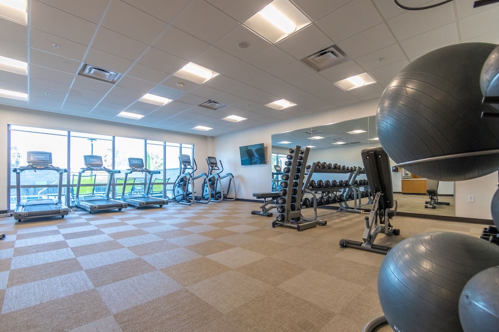 SpringHill Suites by Marriott Tampa Suncoast Parkway - photo 15