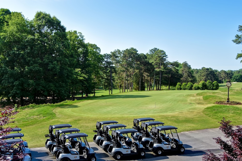 Embassy Suites Greenville Golf Resort & Conference Center - photo 25
