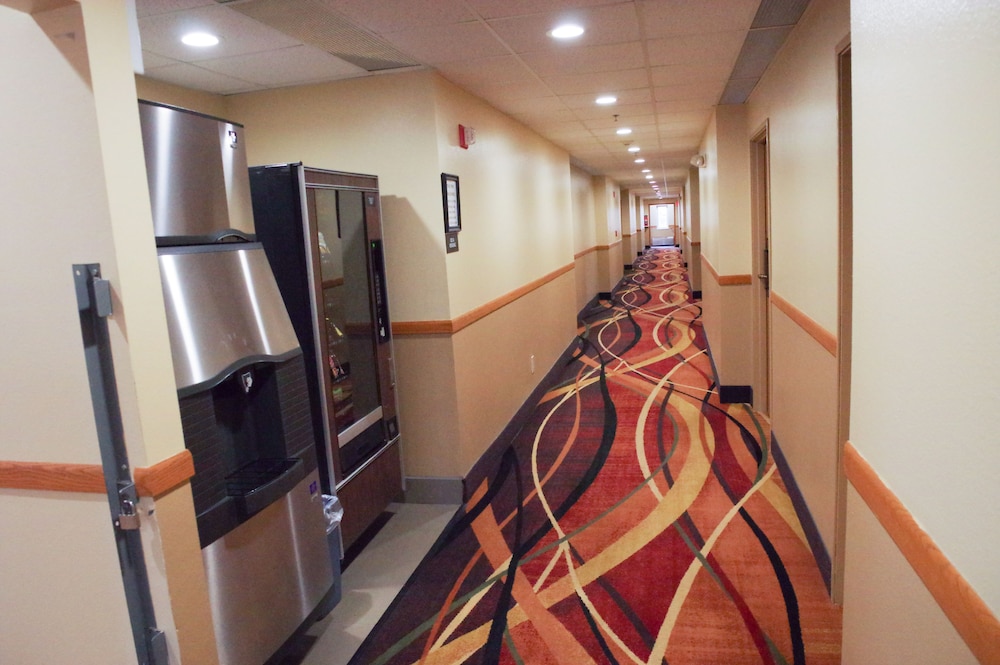 Dutch Inn and Suites - photo 26