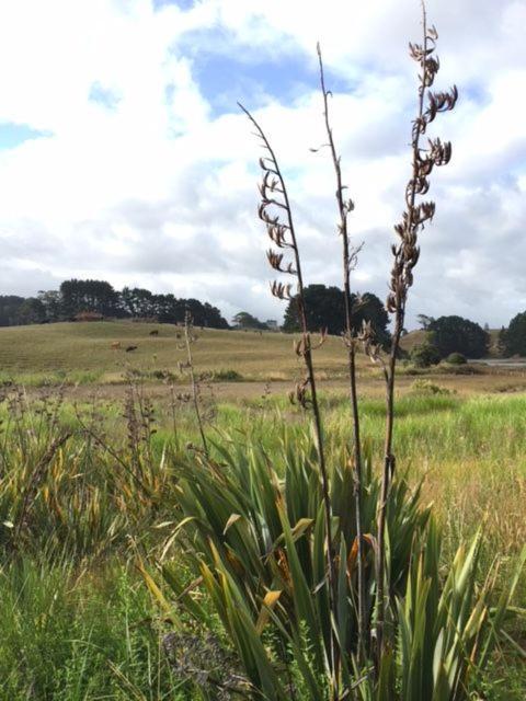 Entabeni — 4-Star Luxury Hotel in Raglan, New Zealand