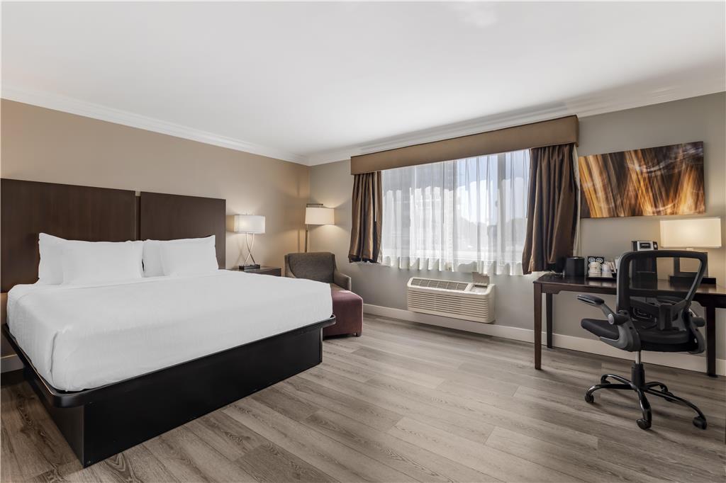 Best Western Plus LA Mid Town Hotel - photo 5