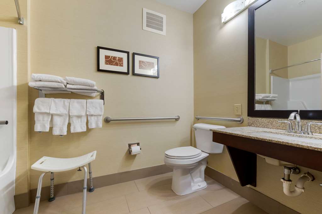 Comfort Suites Columbus Expo Center - photo 18