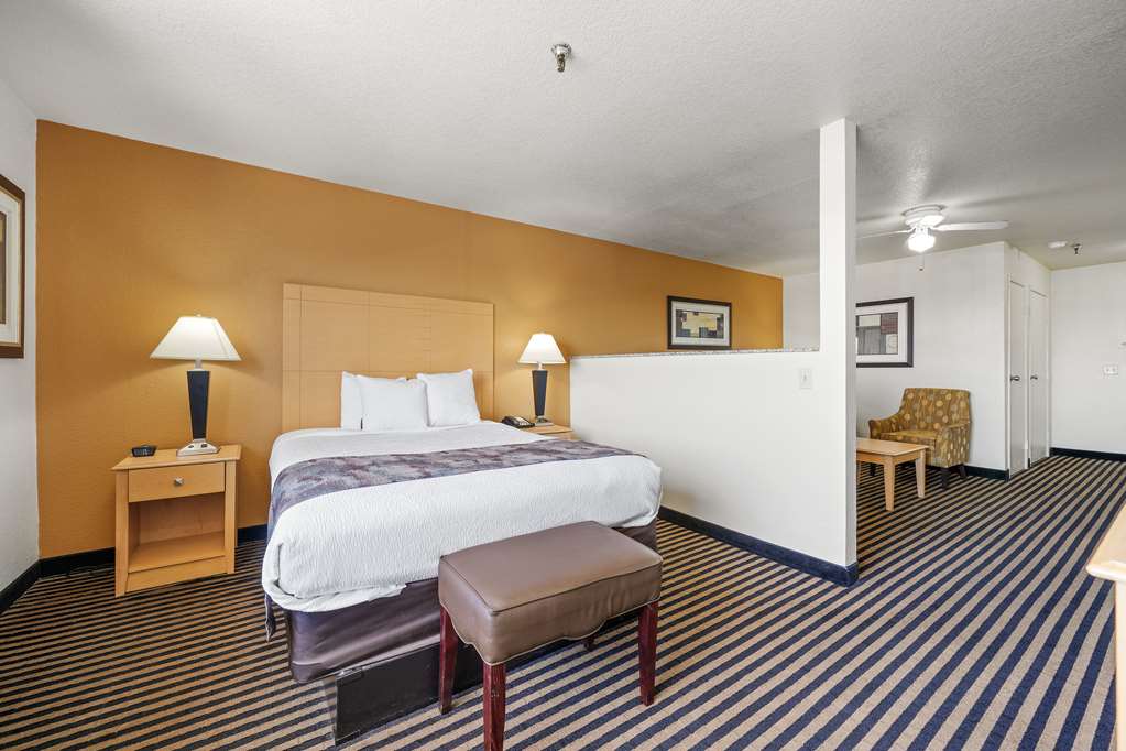 Best Western Plus Executive Inn & Suites - photo 31