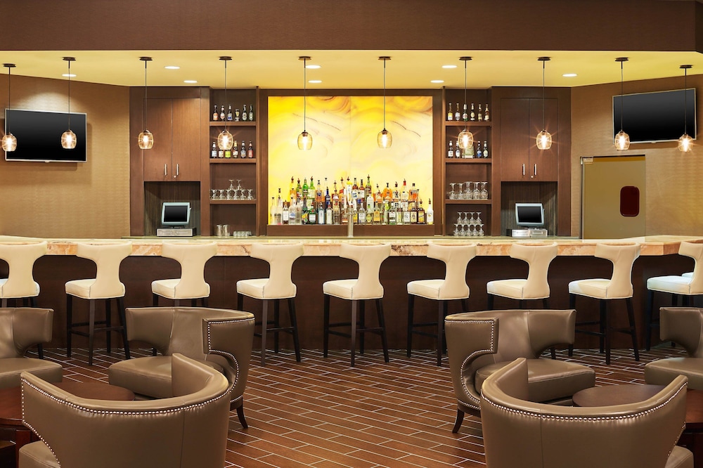 Sheraton Lisle Naperville Hotel - photo 26