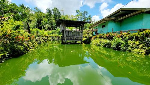 Jolits EcoGarden Hostel — Batuan — photo 2