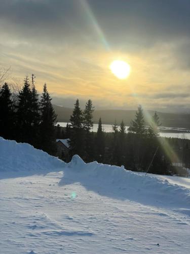 Ottsjö Åre Lodge — Are — photo 2