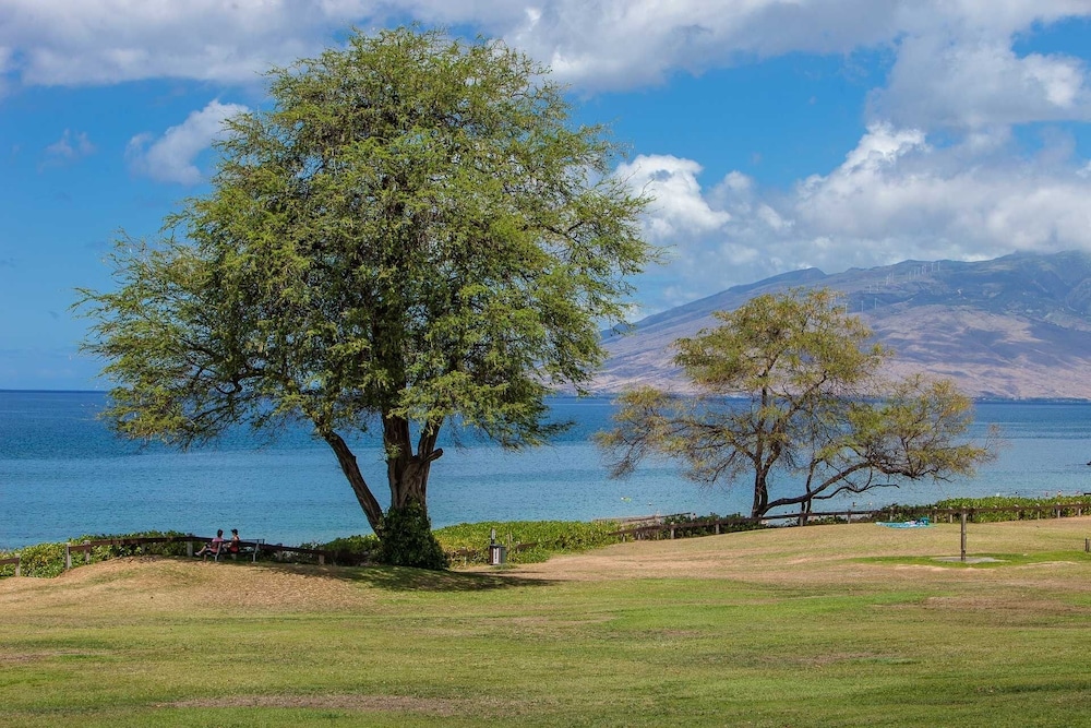 Hale Kamaole 121 by Coldwell Banker Island Vacations - photo 42