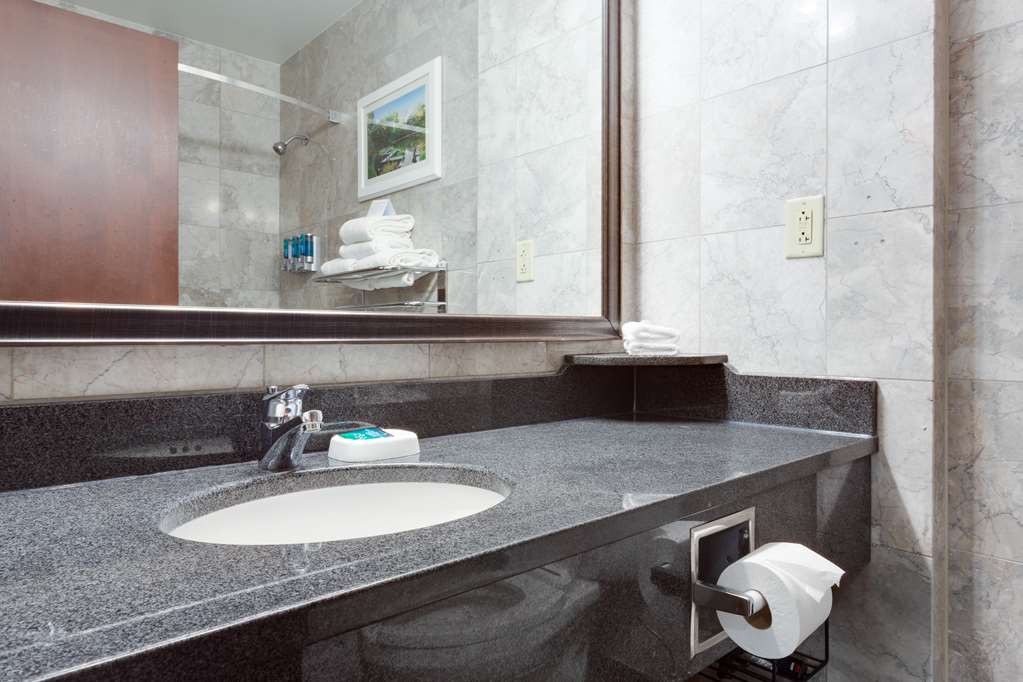 Drury Plaza Hotel St. Louis at the Arch - photo 24