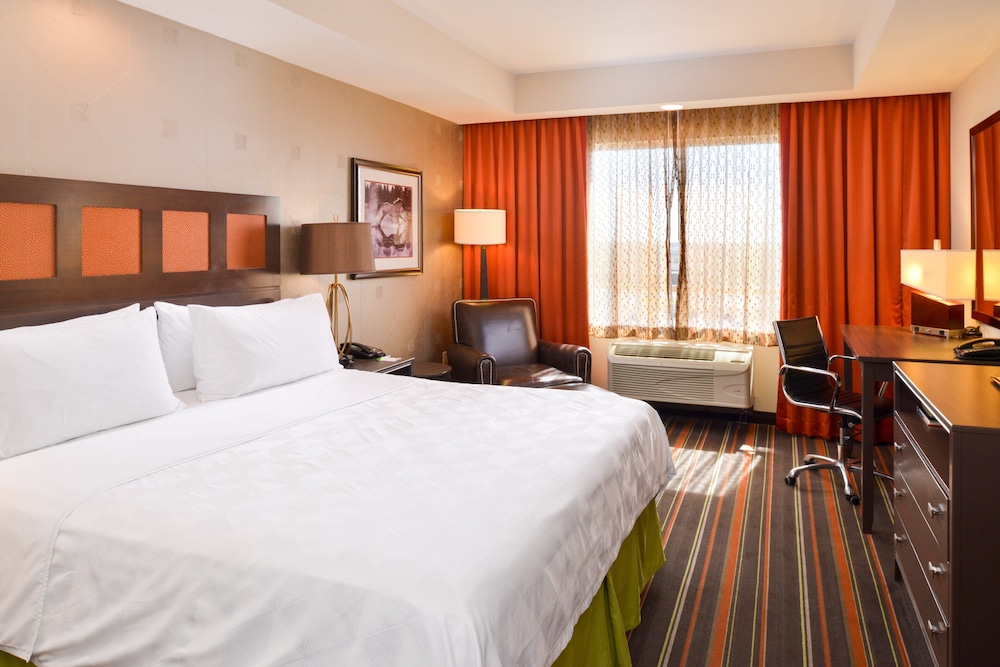 Holiday Inn Amarillo West Medical Center by IHG - photo 15