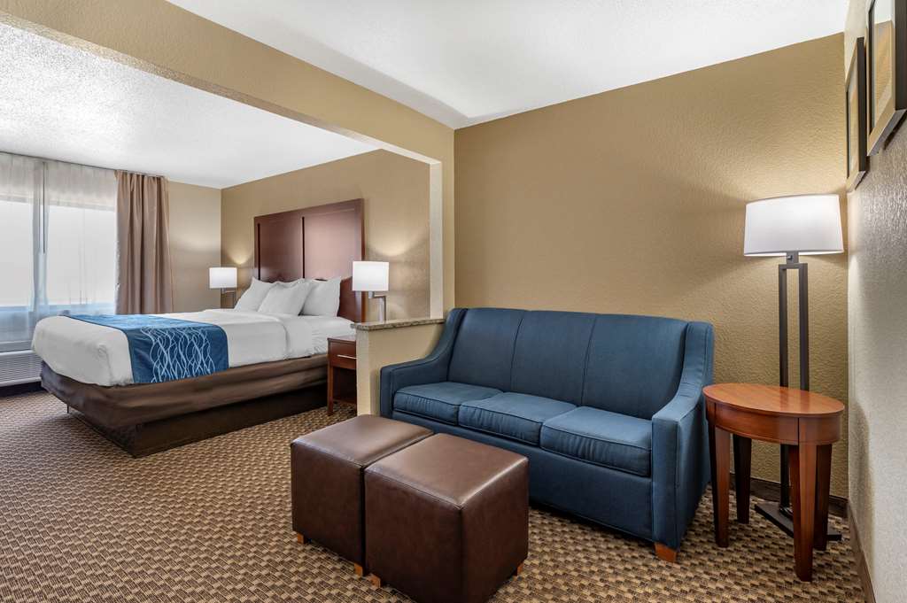 Comfort Inn Near Kokomo Speedway - photo 34