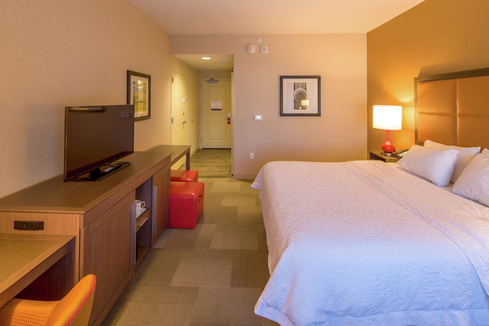 Hampton Inn Houston Downtown - photo 10