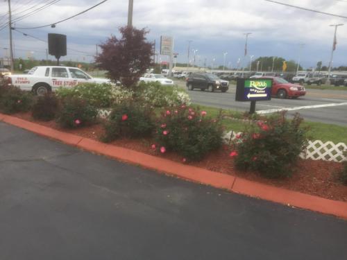 Royalinn & suites - photo 24