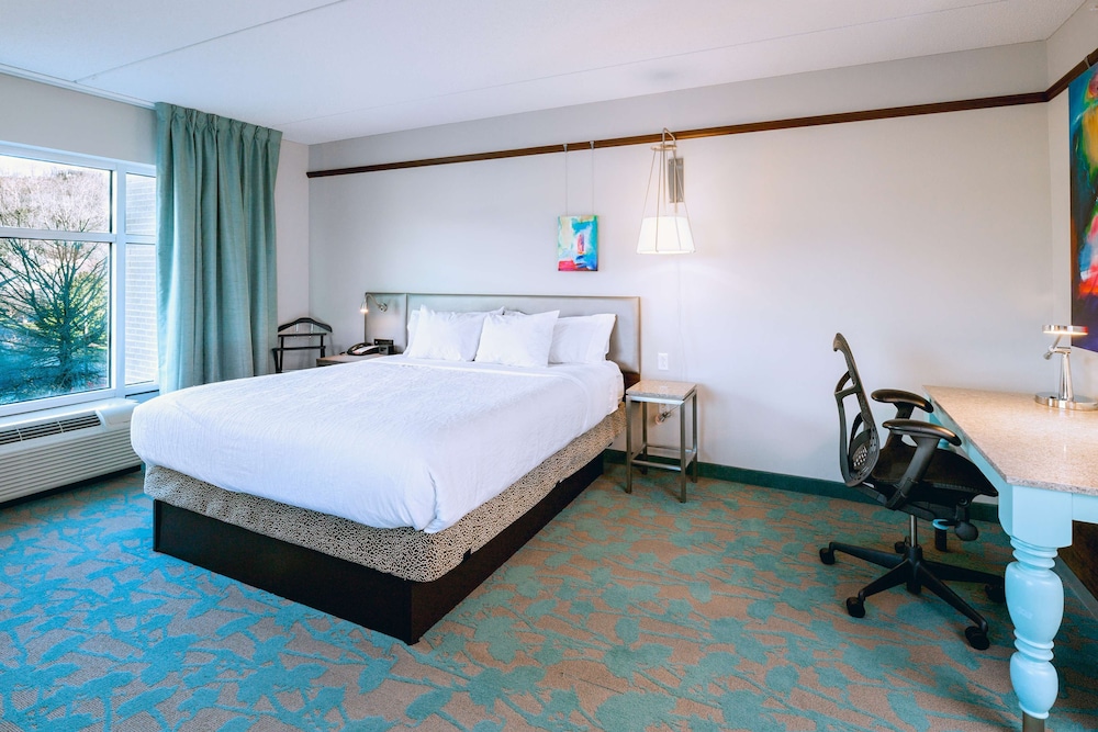 Hilton Garden Inn Asheville Downtown - photo 10