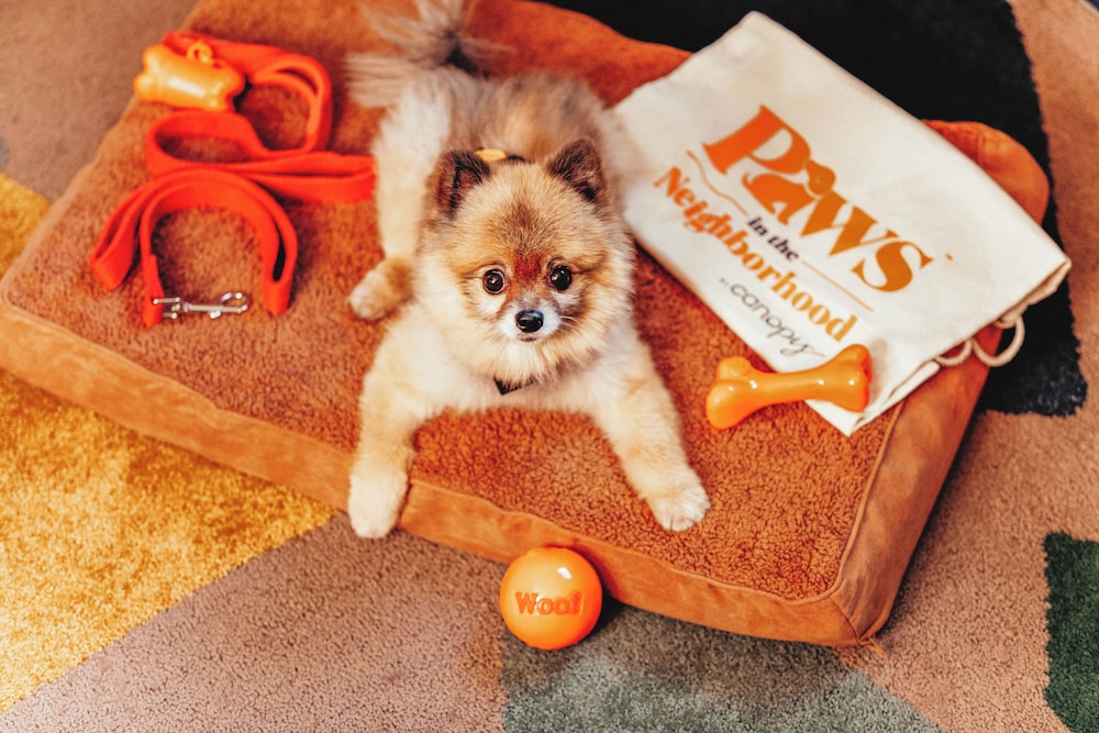 Pet-friendly