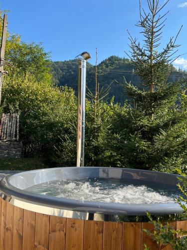 Cabana din Lunca — Lunca Bradului — photo 4
