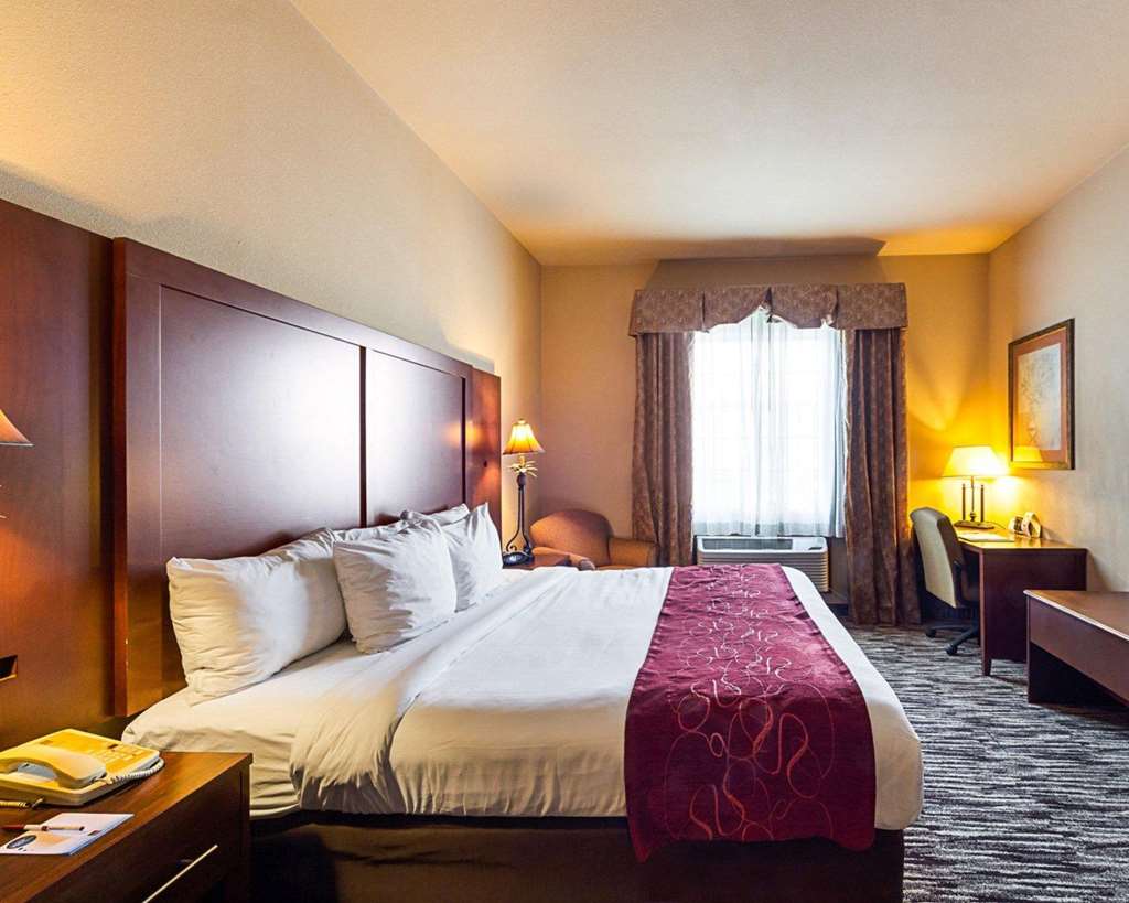 Comfort Suites McAllen Airport and La Plaza Mall - photo 12