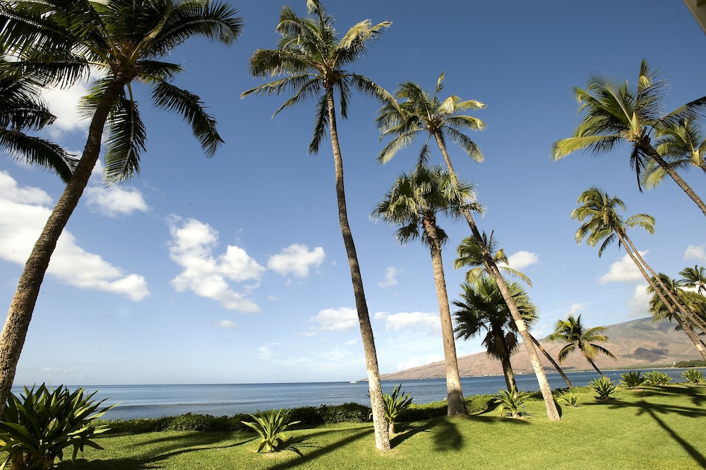 Sugar Beach Resort - photo 43