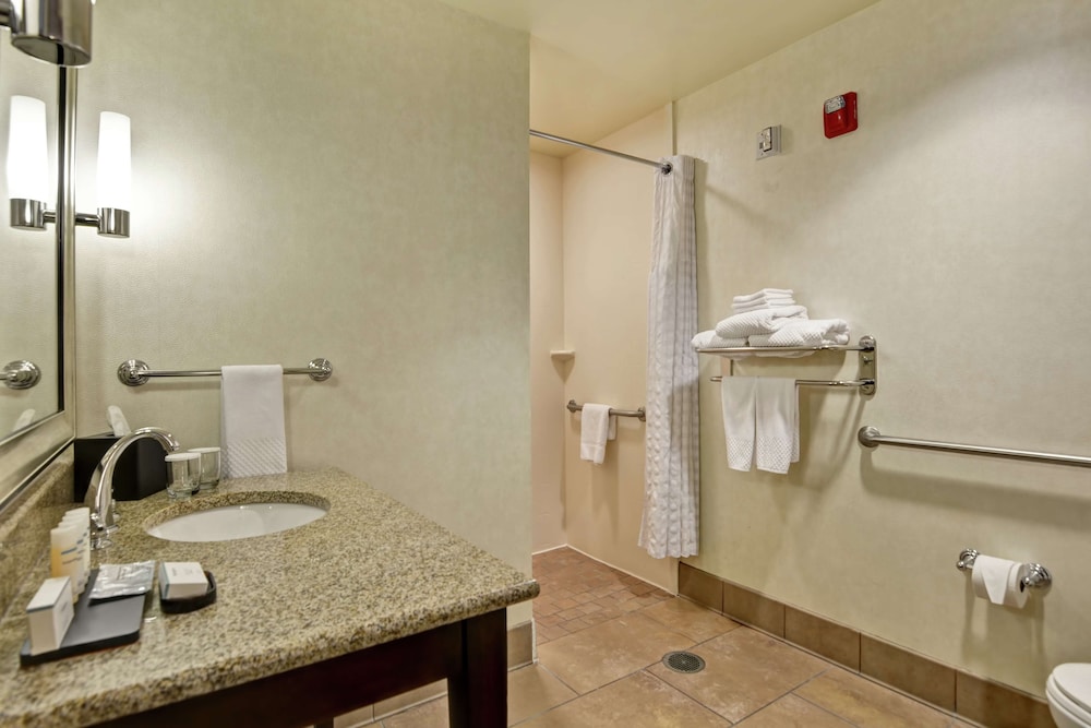 Embassy Suites by Hilton Savannah Airport - photo 33