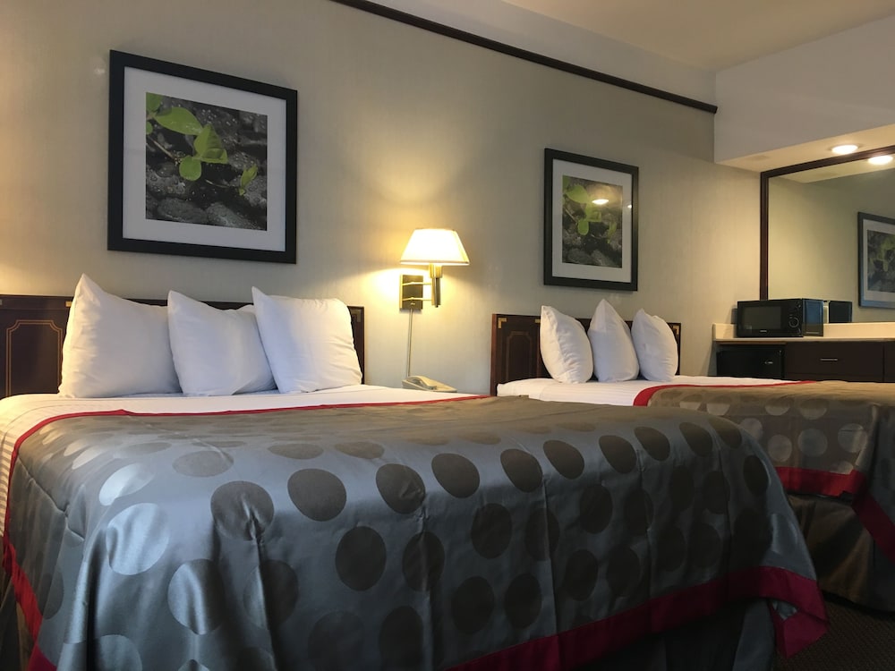 Ramada Portland Airport - photo 39