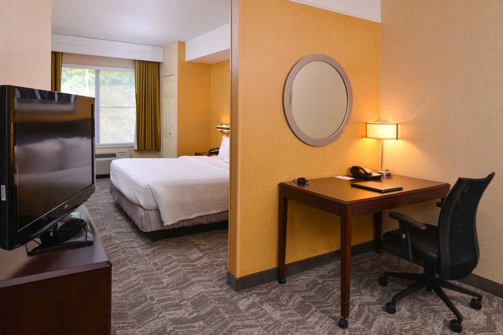 Springhill Suites by Marriott Pittsburgh Mills - photo 5