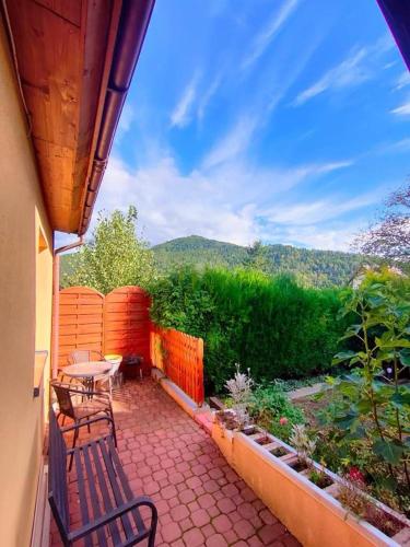 Czaple znad popradu in Piwniczna-Zdroj, Poland