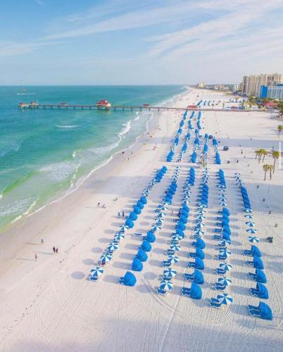 Heated pool & jetted spa mins to beach in Clearwater, United States
