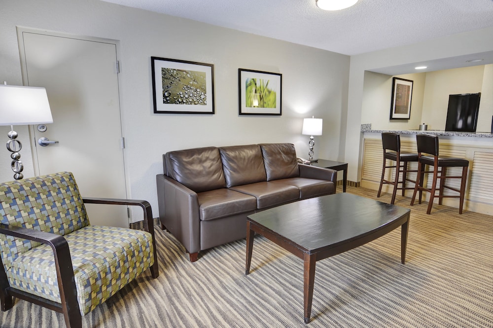 Holiday Inn St Petersburg N Clearwater by IHG - photo 10