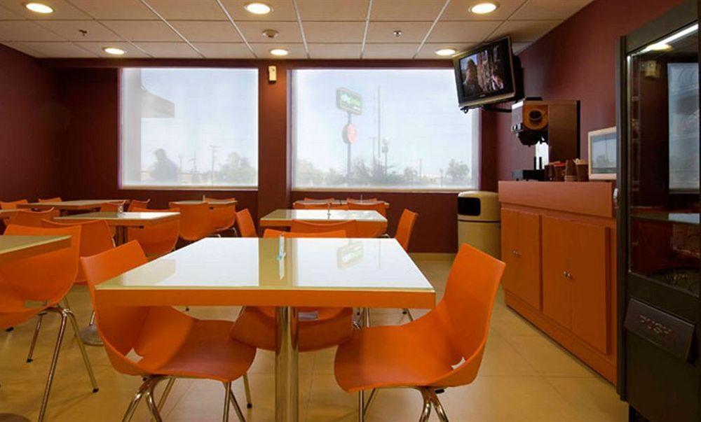 City Express Junior Chihuahua