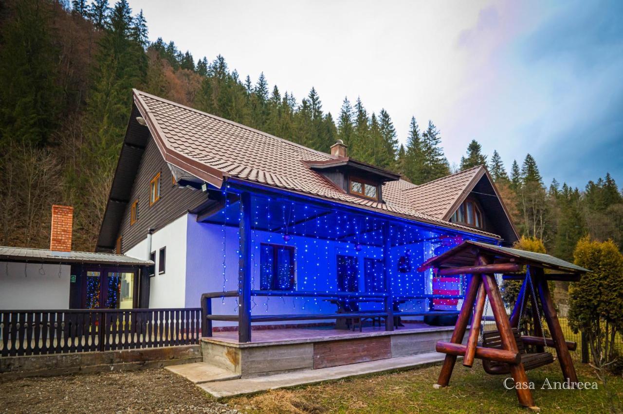 Casa Andreea — 4-Star Luxury Hotel in Brosteni, Romania
