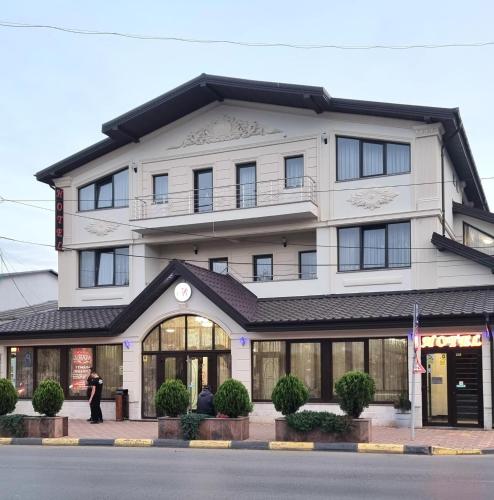 Hotel Bacsoridana — hotel in Tecuci